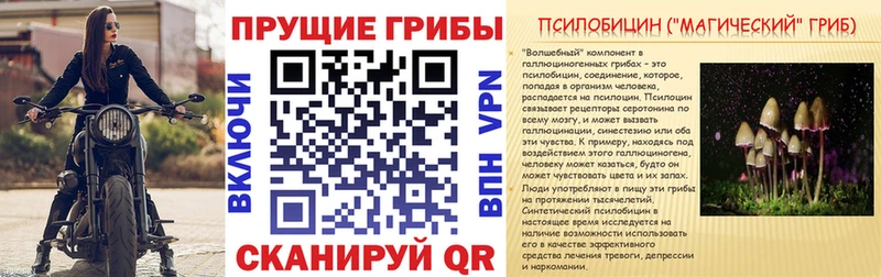 наркошоп  Конаково  Псилоцибиновые грибы ЛСД 