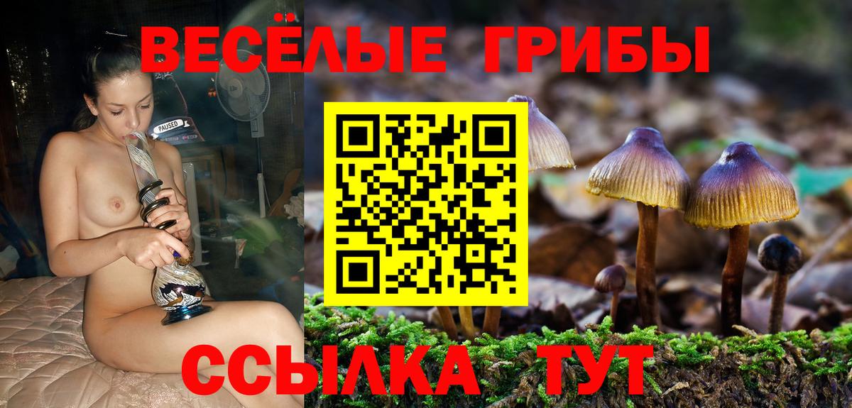 Псилоцибиновые грибы ЛСД  Вход с VPN  Конаково 